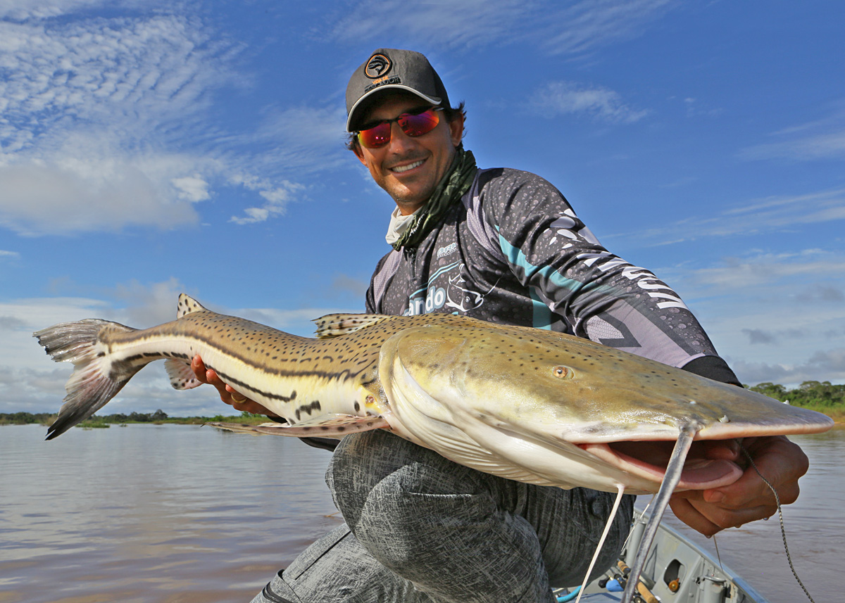 Bargada Um Peixe De Couro Muito Veloz Revista Pesca Companhia