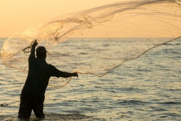 INSS e seguro-defeso para pescadores artesanais no período de piracema