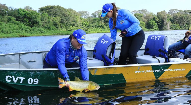 Mato Grosso do Sul proíbe pesca de Dourado até 2025