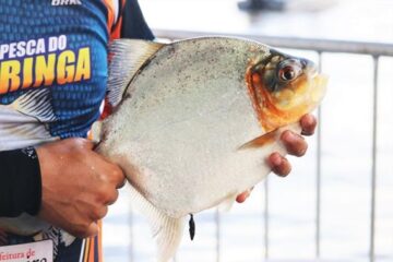 Altamira sediará 22º Torneio de Pesca Esportiva ‘Pacu de Seringa’