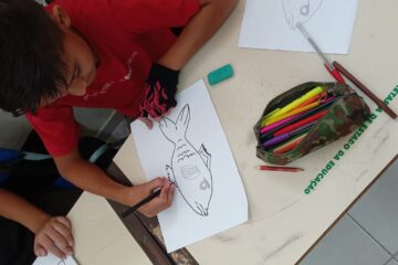 Pesca Artesanal da Tainha é tema de trabalho pedagógico em escola de Biguaçu
