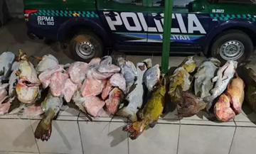 Polícia Militar Ambiental apreende 283 kg de peixe em Bonito (MS)