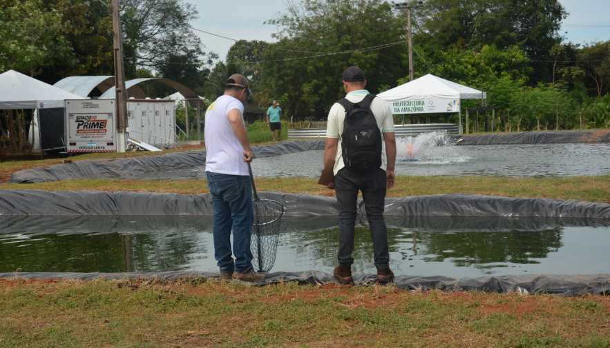 Com parceira do Governo do Tocantins, projeto pioneiro busca melhorar nutrição e alimentação de tambaquis em viveiros escavados