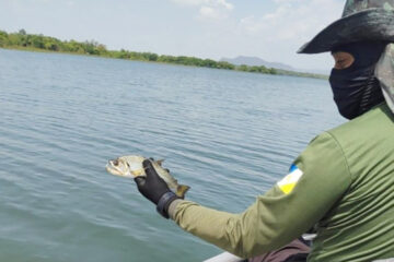 Operação Malha Fina do Naturatins apreende 2 mil metros de redes de pesca