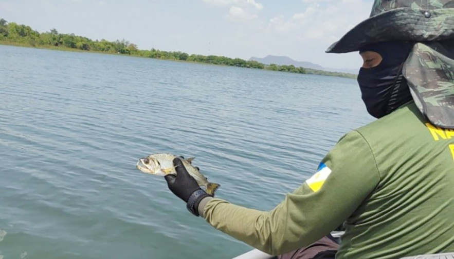 Operação Malha Fina do Naturatins apreende 2 mil metros de redes de pesca