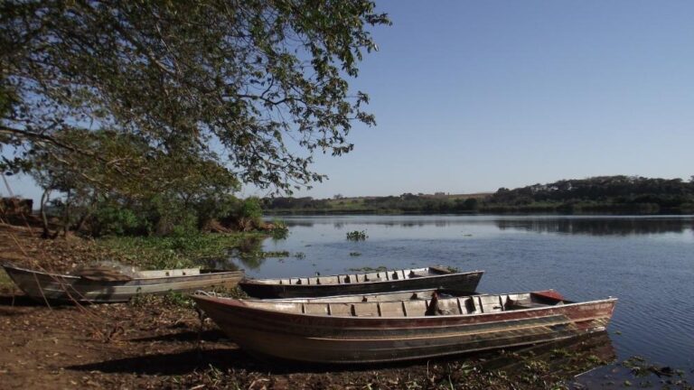 Período de Defeso da Piracema começa em 1º de novembro no Estado de São Paulo