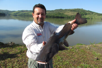 Novo ciclo do Rio Vivo vai soltar 2,6 milhões de peixes nativos nas bacias do Paraná