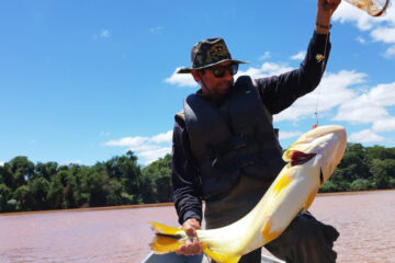 Piracema: proibição de pesca predatória na Bacia do Rio Paraná começa nesta sexta-feira