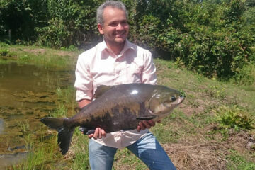 Tambaqui é o peixe mais produzido no Tocantins e o mais consumido pelos tocantinenses