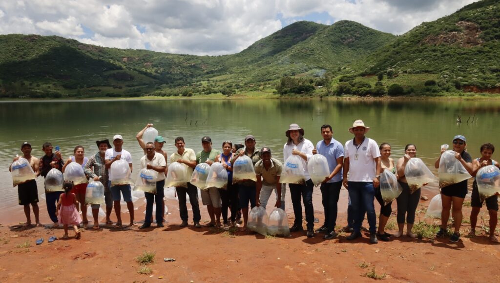 Peixamentos com 110 mil alevinos fortalecem pesca em comunidades na Bahia