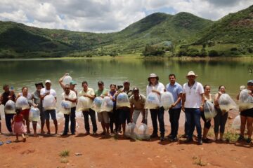 Peixamentos com 110 mil alevinos fortalecem pesca em comunidades na Bahia