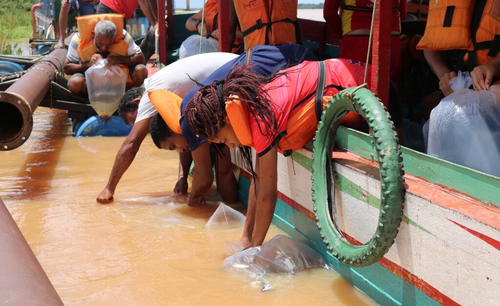 Rio São Francisco recebe peixamento com 57 mil alevinos de espécies nativas