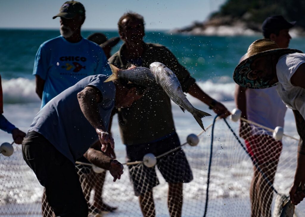 Santa Catarina contesta fundamentos da portaria federal que impõe cotas para a pesca da tainha