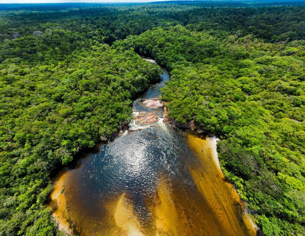 Turismo de pesca esportiva transforma Amazônia em destino de luxo
