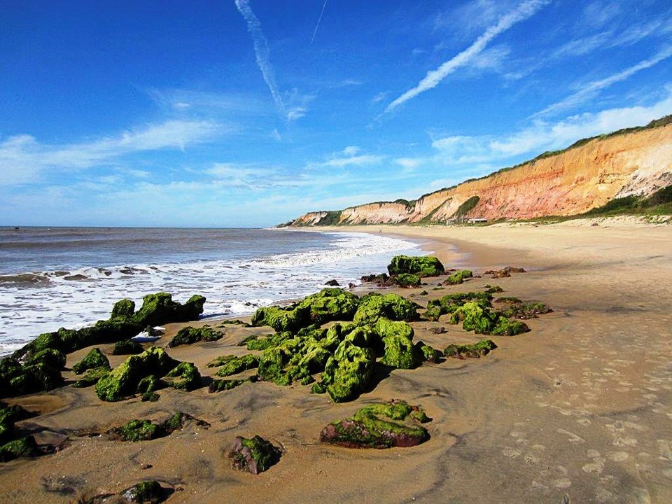 Tartarugas marinhas são resgatadas de rede de pesca no litoral do Espírito Santo