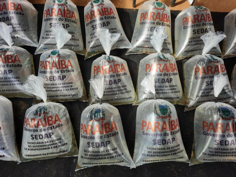 Governo da Paraíba entrega de mais 450 mil alevinos para seis municípios