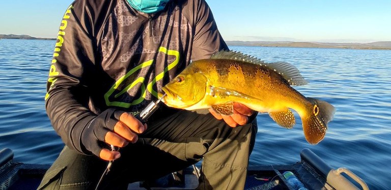 Licença de Pesca Amadora e Esportiva