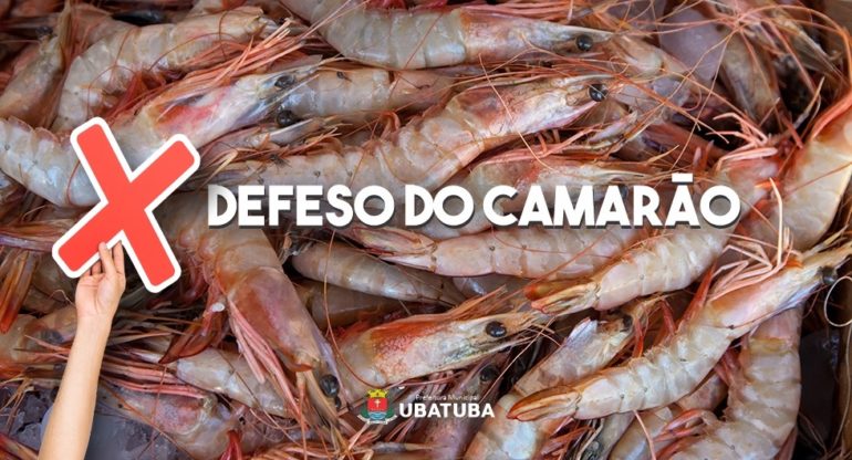 Defeso do camarão