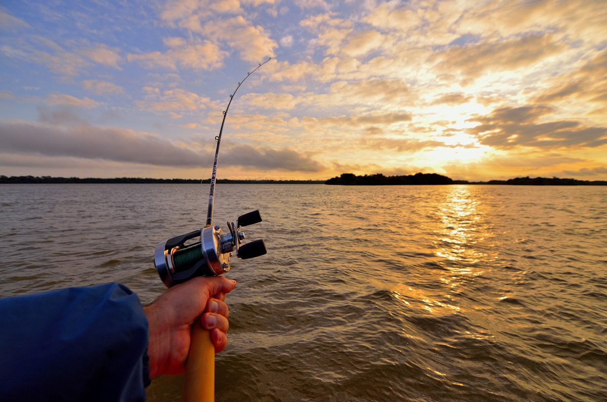 Pesca