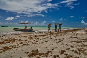 Pesca artesanal