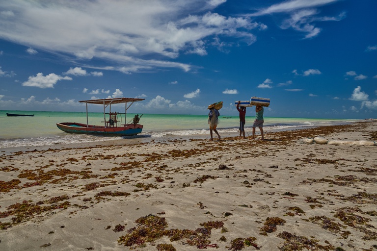 Pesca artesanal