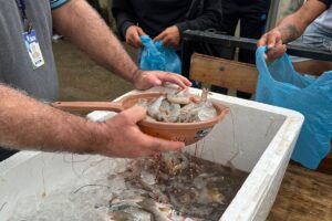 Operação contra pesca ilegal